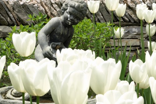 R.W. Thompson Landscaping