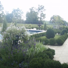 Pool Landscaping